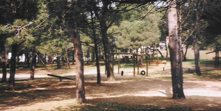 kiddyparkswing.jpg